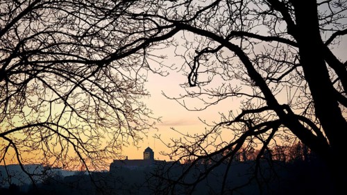 Castle surrounded by branches at sunset, with soft colors of the sky in the background