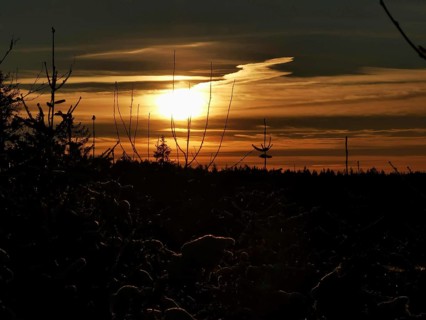 Sunset over a wooded area with golden sky