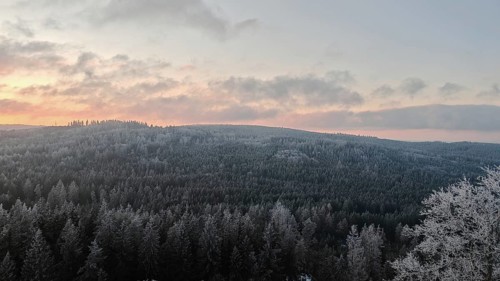 Snowy forest landscape under a twilight sky at dusk