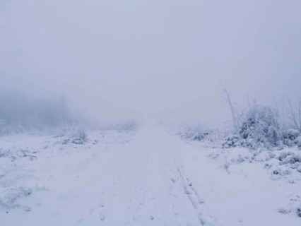Foggy snowy trail, vast white landscape with barren vegetation, Rennsteig, Thuringian Forest