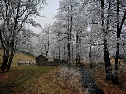Snow-covered landscape with a small wooden house, trees and a stream bed in quiet surroundings