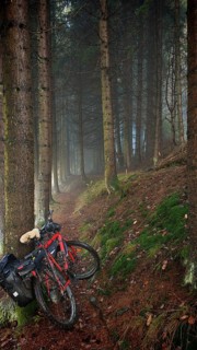 A bicycle leaning against a tree in a foggy forest on a moss-covered path, mystical, romantic,