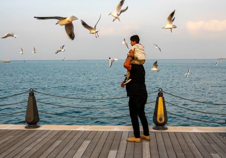 Mina District across from the cruise terminal, locals and tourists feed the seagulls, Doha, United