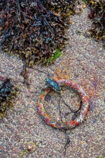 Sottish Highlands, Sotland, UK. Seaweed and a metal hook at a port