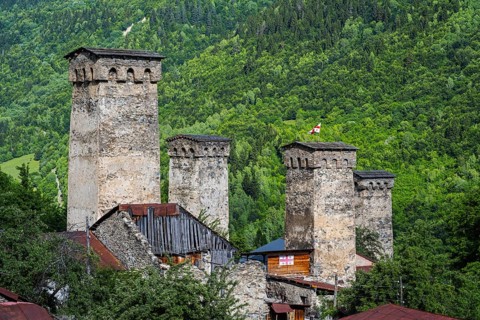 Historic defense towers surrounded by green trees and forest, in the background a small flag,