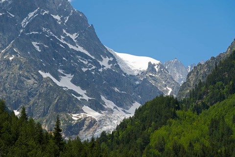 Snow-capped mountains with thick green forest under a clear blue sky, Chalaadi glaciers, Mestia,