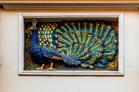 Peacock, details of old town lanes, Krakow, Poland