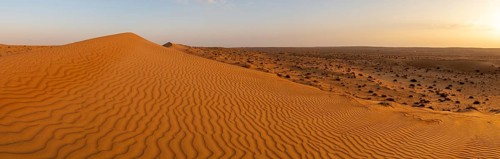 Sand dunes in the Wahiba Sands desert, Oman