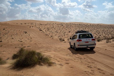 Car parked on sandy road, Wahiba Sands desert, Oman