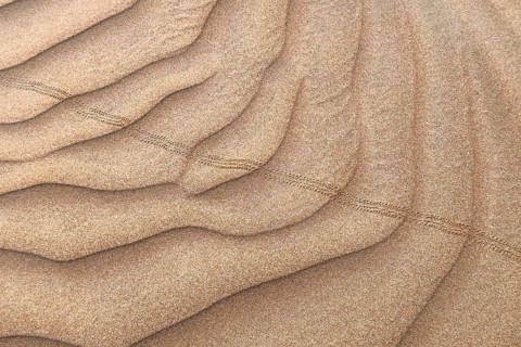 Traces in the sand, desert, Oman