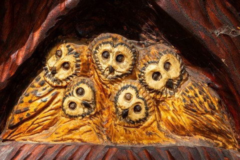 Close-up of birds of prey wood carving sculpture depicting a family of Tyto - Barn Owls by artist