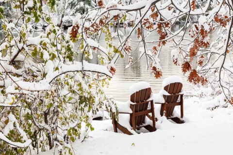 Two brown stained wooden Adirondack chairs by riverside framed by Salix - Willow and Quercus - Oak
