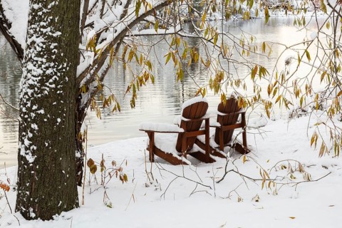 Two brown stained wooden Adirondack chairs by riverside framed by Salix - Willow tree branches