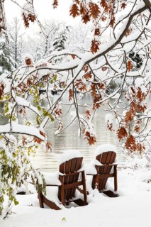 Two brown stained wooden Adirondack chairs by riverside framed by Salix - Willow and Quercus - Oak
