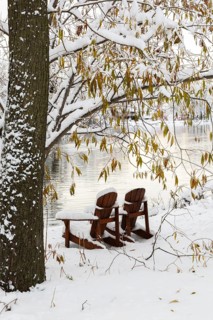 Two brown stained wooden Adirondack chairs by riverside framed by Salix - Willow tree branches