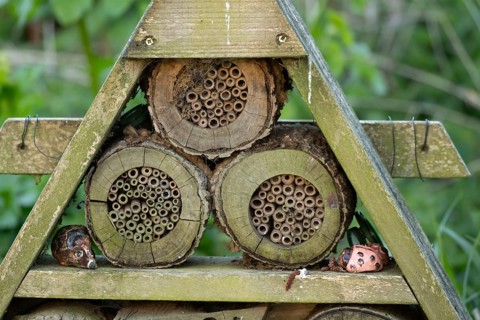 Bee or bug hotel or insect house in a garden, England, United Kingdom