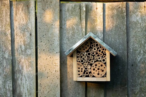 Bee or bug hotel or insect house on a wooden fence in a garden, England, United Kingdom