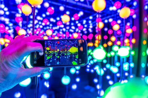 Park lights, winter event, in the Grugapark in Essen, many different light installations, across