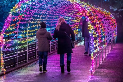 Park lights, events in winter, in the Grugapark in Essen, many different light installations,