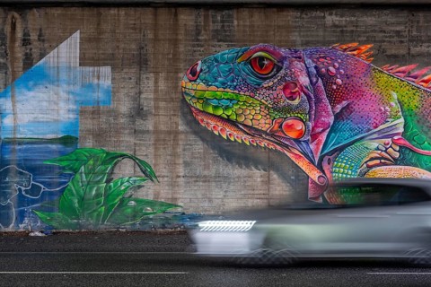 Colourful graffiti, mural, iguana or lizard in rainbow colors, in a motorway bridge underpass of