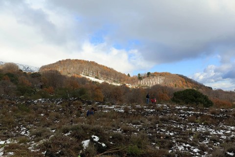 Mixed forest and heathlands at Silvestri Crater, hikers among snow remnants in volcanic landscape,