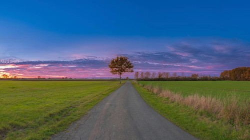 View along a bike path near the Weser at sunset, Mahlen, Hassel, Nienburg, Lower Saxony, Germany
