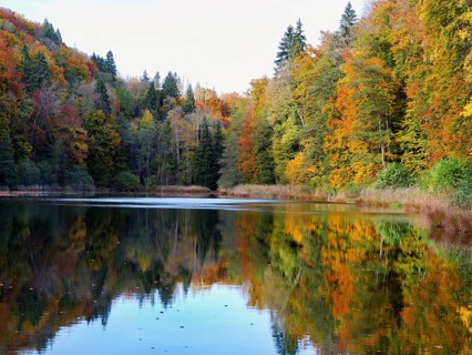 Egelsee in autumn-colored surroundings, Bergdietikon, Canton of Aargau, Switzerland