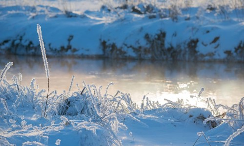 Grass covered by snow and frost, river banks in soft light, light, shimmering golden fog over the