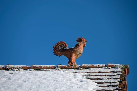 Rooster as a roof rider, blue sky, Heroldsberg, Middle Franconia, Bavaria, Germany
