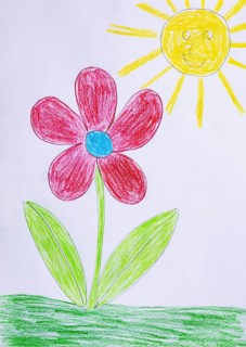 Naive illustration, children's drawing, flower in the meadow with sun, Austria
