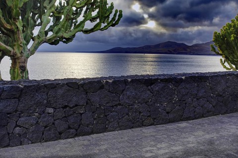 Cactus in front of a stone wall with a view of the dark sea and a cloudy sky in the background,