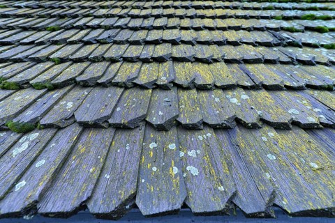 Wooden shingles of the historic wooden Trinity Church in Zhovkva city, Ukraine