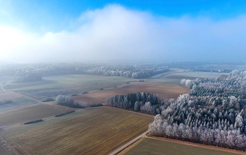 Aerial view of a winter landscape covered in clouds of fog, fields and a mixed forest with trees