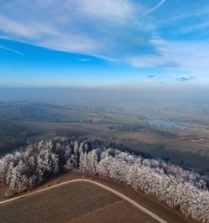 Aerial view of a coniferous forest on a hillside with spruce trees colored white from frost covered