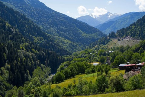 A vast landscape of green meadows and forests, surrounded by majestic mountains and clear skies,