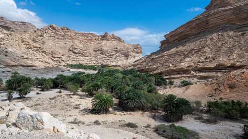 Wadi Sinaq near Hasik, Oman