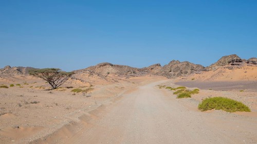 Dust road leads through barren landscape, near Duqm, Oman