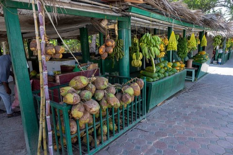 Fruit stand with bananas and coconuts, Oman
