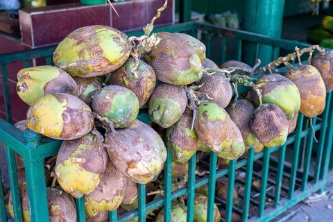 Coconut at a fruit stand, Oman