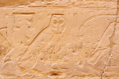 Relief of an owl, Karnak Temple, Luxor, Egypt