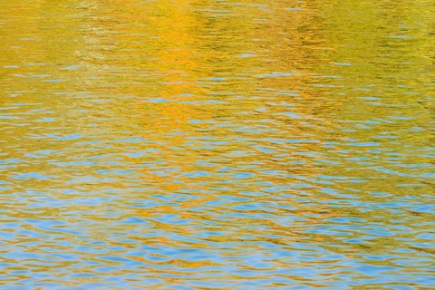 Deciduous trees are reflected on a water surface in autumn, North Rhine-Westphalia, Germany