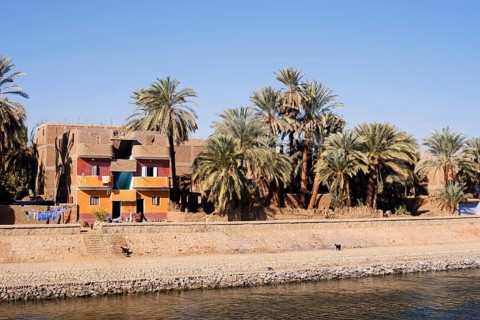 Houses and date palms on the banks of the Nile, Egypt