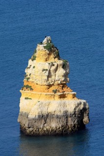 Rock in the sea, Praia do Camilo, Lagos, Algarve, Portugal