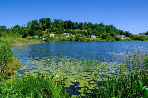 Häuser am Seeoner See, vineyard, Seeon, Chiemgau, Upper Bavaria, Bavaria, Germany