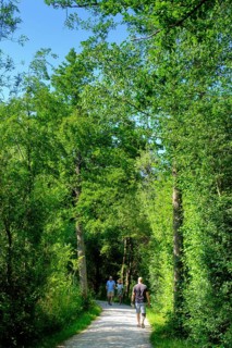 Uferweg am Chiemsee bei Stock, Prien, Chiemgau, Upper Bavaria, Bavaria, Upper Bavaria, Bavaria,