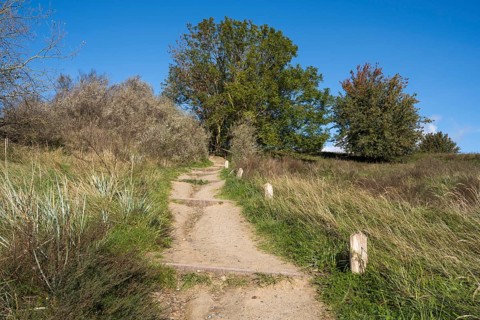 Trail above the steep coast, Hochuferweg, autumn colors, Klein Zicker, Mönchgut, Rügen island,