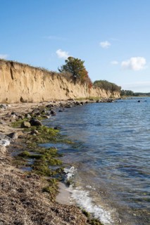 Cliffs on the shores of the Baltic Sea, autumn colors, Klein Zicker, Mönchgut, Rügen island, Baltic
