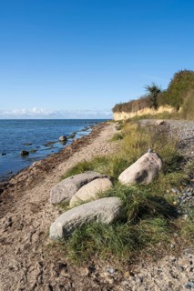 Boulders on the banks of the Saal, cliffs, Klein Zicker, Mönchgut, Rügen island, Baltic Sea,