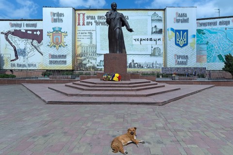 Memorial to Ukrainian national poet Taras Shevchenko, a dog lying down in front, Czernowicz,