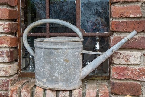Old metal watering can on a brick window sill in front of a rusted lattice window, North